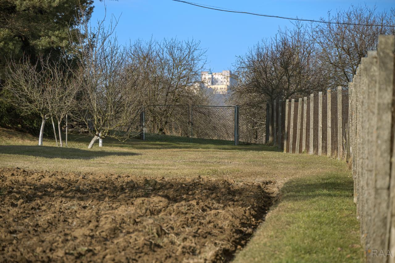 výhled z pozemku na hrad Buchlov [1/26]